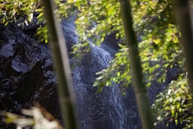 尼尔谈《最后生还者》第三部：这个故事还有一章